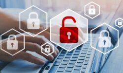 Person Typing On A Keyboard