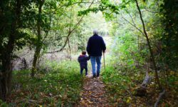 Old man and young child hold hands and walk down wooded path.
