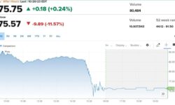 Stock price on October 20, 2023. CNBC